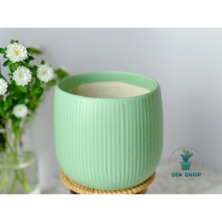 Chậu men trồng cây màu pastel .