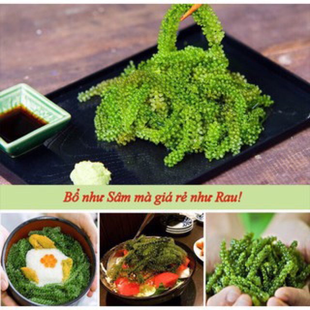 Rong nho tách nước 100 gram ( 300 gram khi nở)