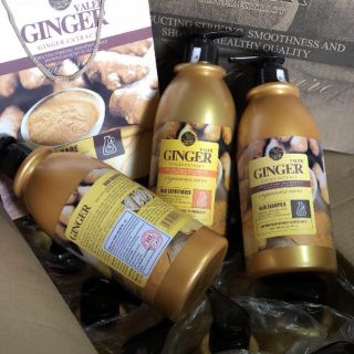 Dầu gội Ginger tinh chất gừng nguyên chất .