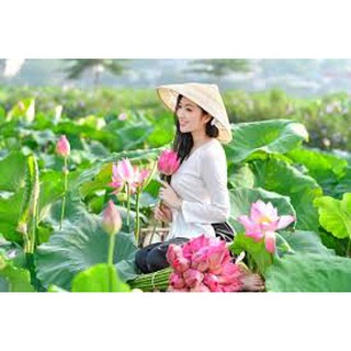 Nón lá thưa chụp ảnh ao sen