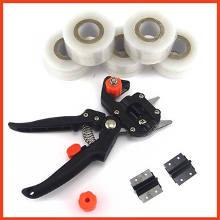 Kéo chiết cành + băng quấn mối ghép cành tự hủy