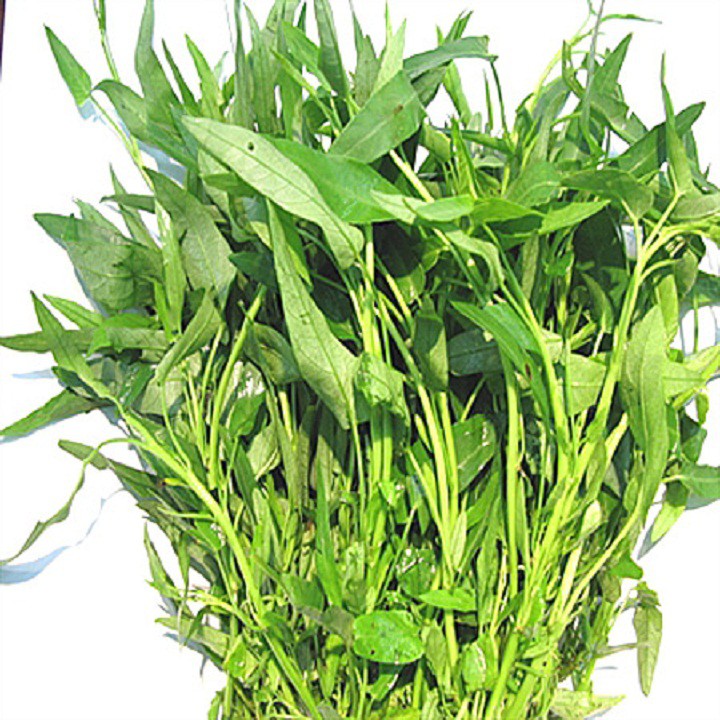 Hạt giống rau muống cao sản- rau muống lá tre gói 50 gram xuất xứ Thái Lan