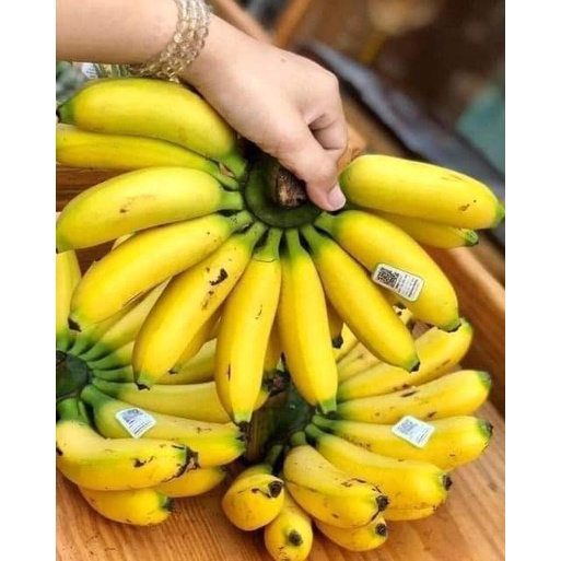 Giống cây chuối tiến vua