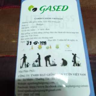 Hạt giống hoa hồng đăng