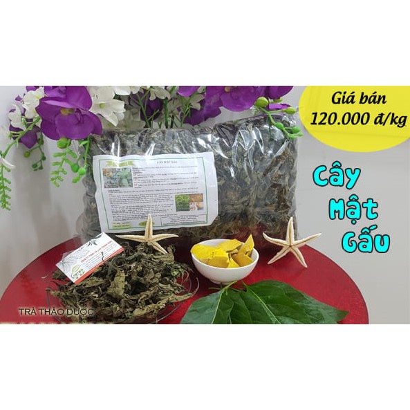 1kg Cây mật gấu (Nam), cây lá đắng khô