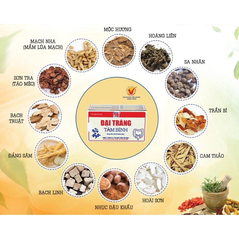 Đại Tràng Tâm Bình (Hộp 60 viên) - Xua tan nỗi lo viêm đại tràng, đầy hơi, khó tiêu, tiêu chảy.