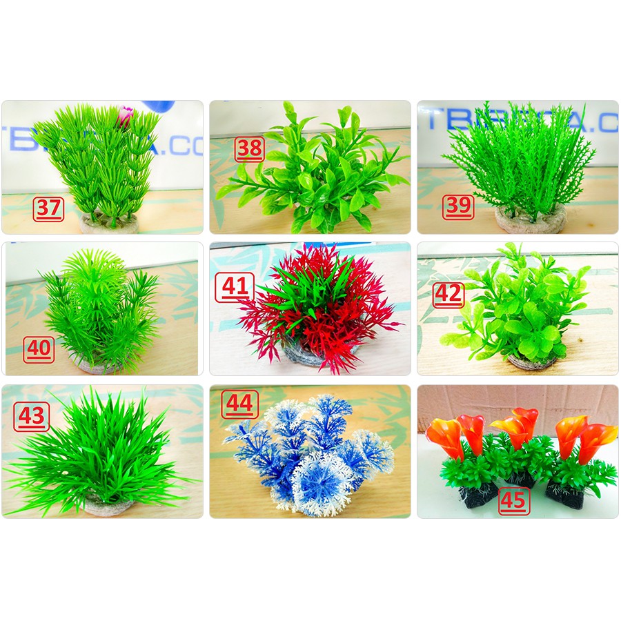 Tặng Thêm 1 Cây Nhựa Thấp Khi Mua Combo 5 Cây Nhựa Thấp Trang Trí Bể Cá