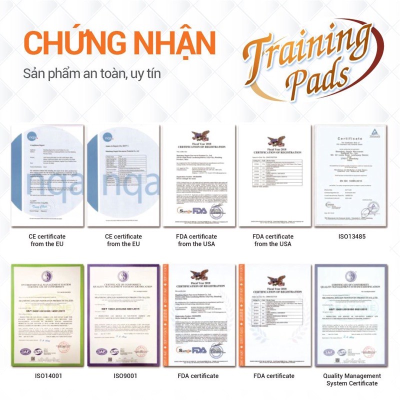 [Cobi Pet Training Pads] Tấm lót hướng dẫn thú cưng đi vệ sinh đúng chỗ