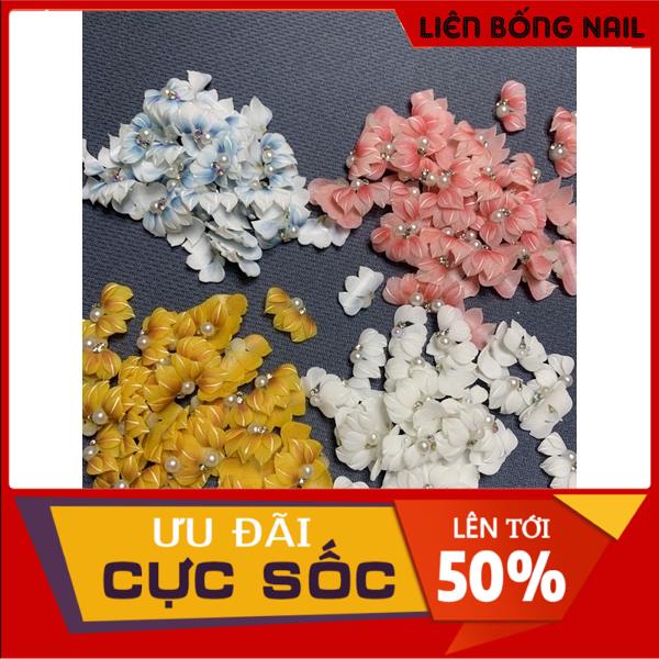 Cúc nhọn ruby kẻ - Hoa bột nail