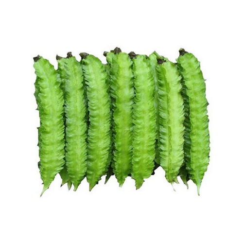 1KG Hạt giống đậu rồng (đậu khế)