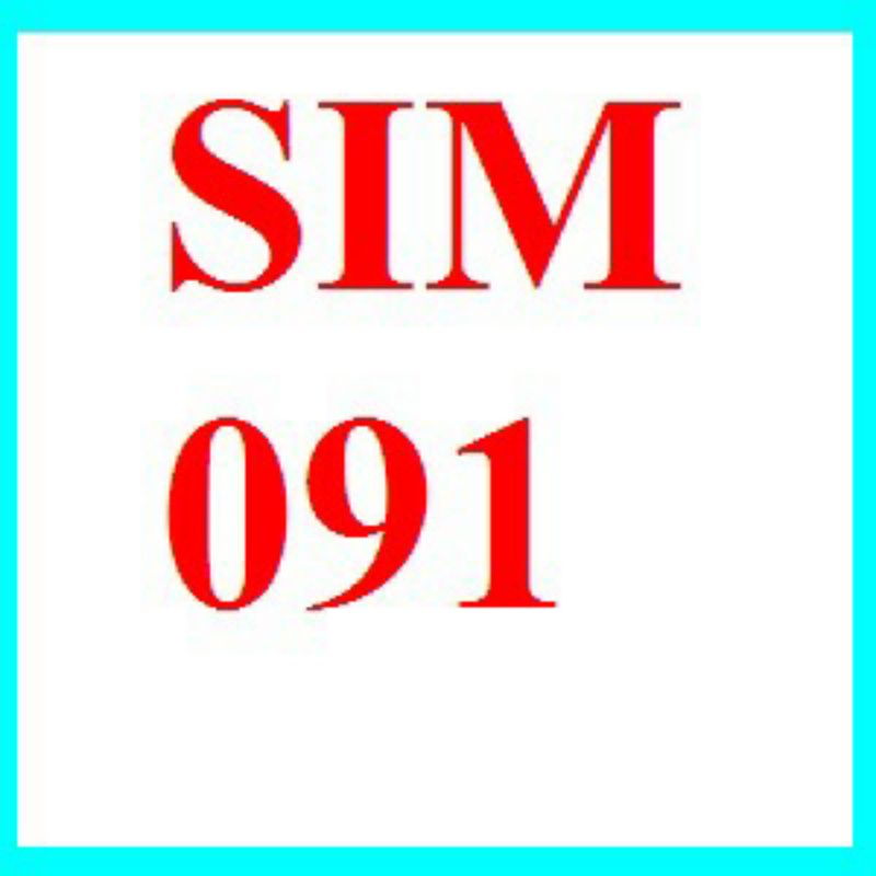 Sim 4g vinaphone, Sim vinaphone đầu 09