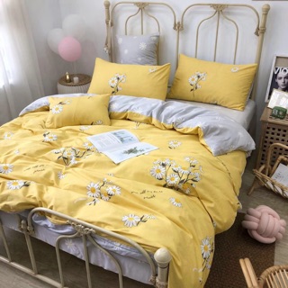Bộ chăn ga gối cotton living