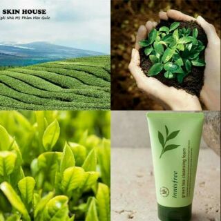 Sữa rửa mặt trà xanh INNISFREE GREEN TEA CLEANSING FOAM