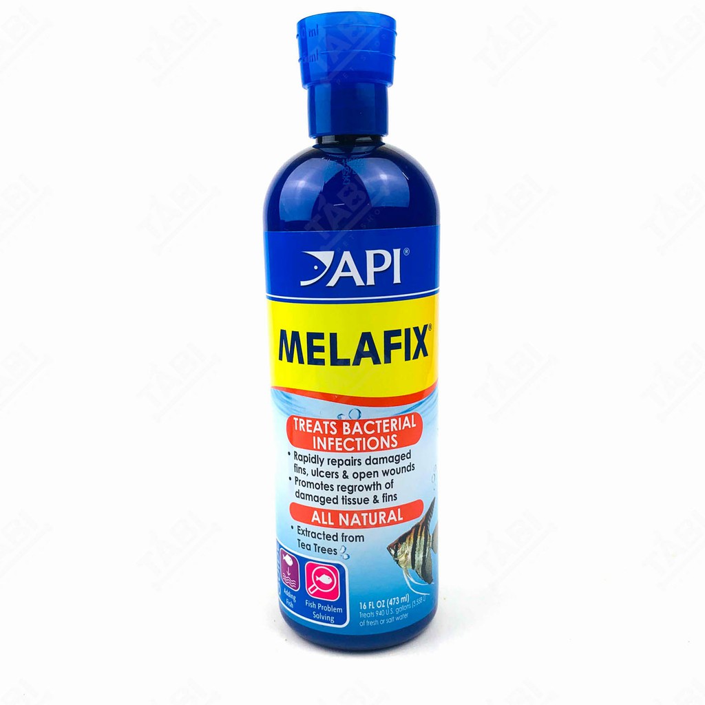 Dung Dịch Kháng Khuẩn API MELAFIX Chính Hãng - Hỗ Trợ Nuôi Cá Tốt [MELAFIX]