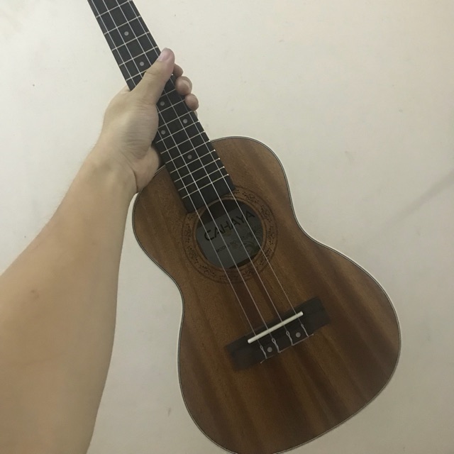 [ GIÁ TỐT ] ĐÀN UKULELE CONCERT HOẠ TIẾT CAHAYA