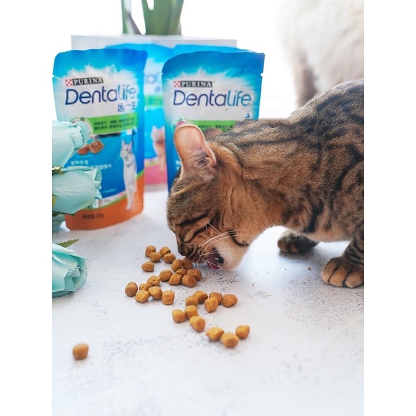 Purina Dentalife - Snack thưởng làm sạch răng cho mèo 50g