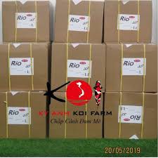 Thức ăn tăng trưởng cho cá koi Cám Rio độ đạm 42%