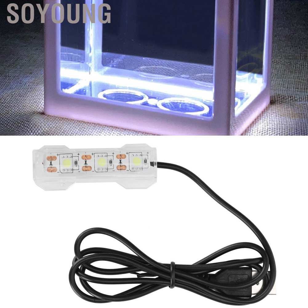 Đèn Chiếu Sáng Bể Cá Sạc Usb Tiện Dụng