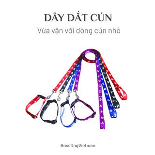 Dây dắt thú cưng cơ bản