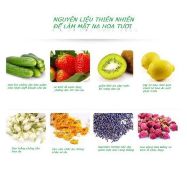 MÁY XÔNG HƠI MẶT THẢO DƯỢC, HOA QUẢ TỰ ĐỘNG 2 IN 1 LỖI 1 ĐỔI 1 BẢO HÀNH 12 THÀNG