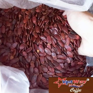 [COMBO] 500g hạt dưa+500 hạt bí loại 1