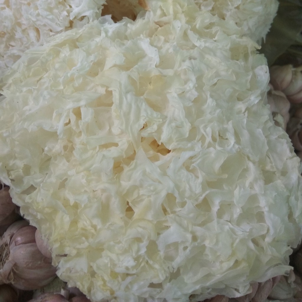Nấm tuyết nguyên gói 30g