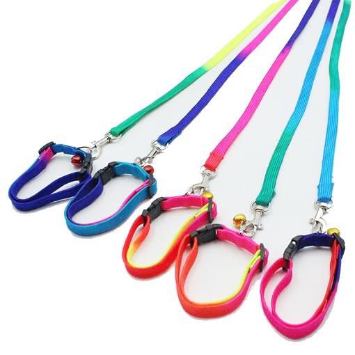 Bộ Dây Dắt Kèm Vòng Cổ 7 màu Cho Chó Mèo