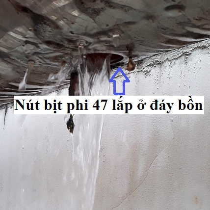 Nút bịt phi 47 đáy bình nước nóng năng lượng mặt trời