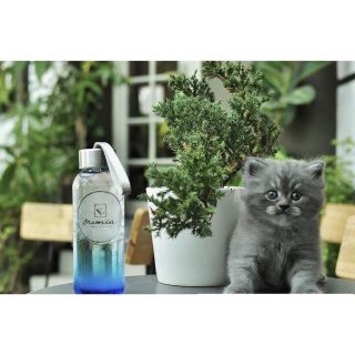 [Loại 1] Combo 5 chai nước thủy tinh 500ml