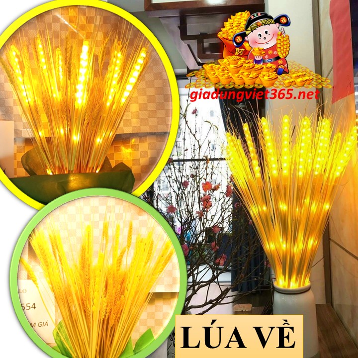 Đèn led bông lúa tài lộc decor trang trí tết - Bó lúa 10 cây, 15 cây - Mẫu mới 2024 - Gia Dụng Việt 365