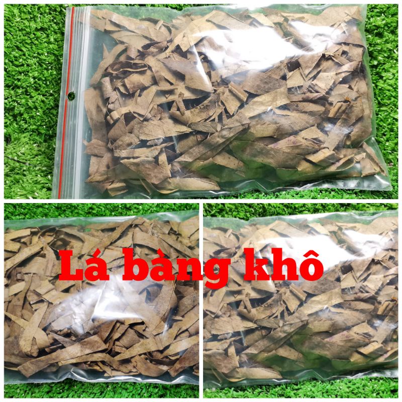 Mua 1 gói tặng 1 gói - Lá Bàng Khô cắt sợi.