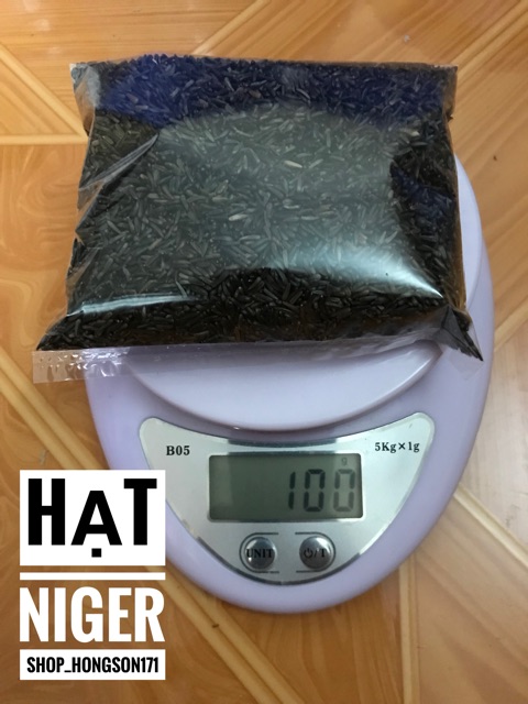 Hạt niger cho chim yến