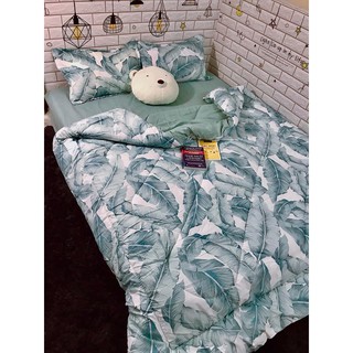 Ga Trải Giường Chần Bông Sọc Lá Xanh Pastel Cotton M6*2M-M8*2M((1 Chăn Phao, 1 Ga, 2 Vỏ Gối Đầu, 1 Vỏ Gối Ôm)