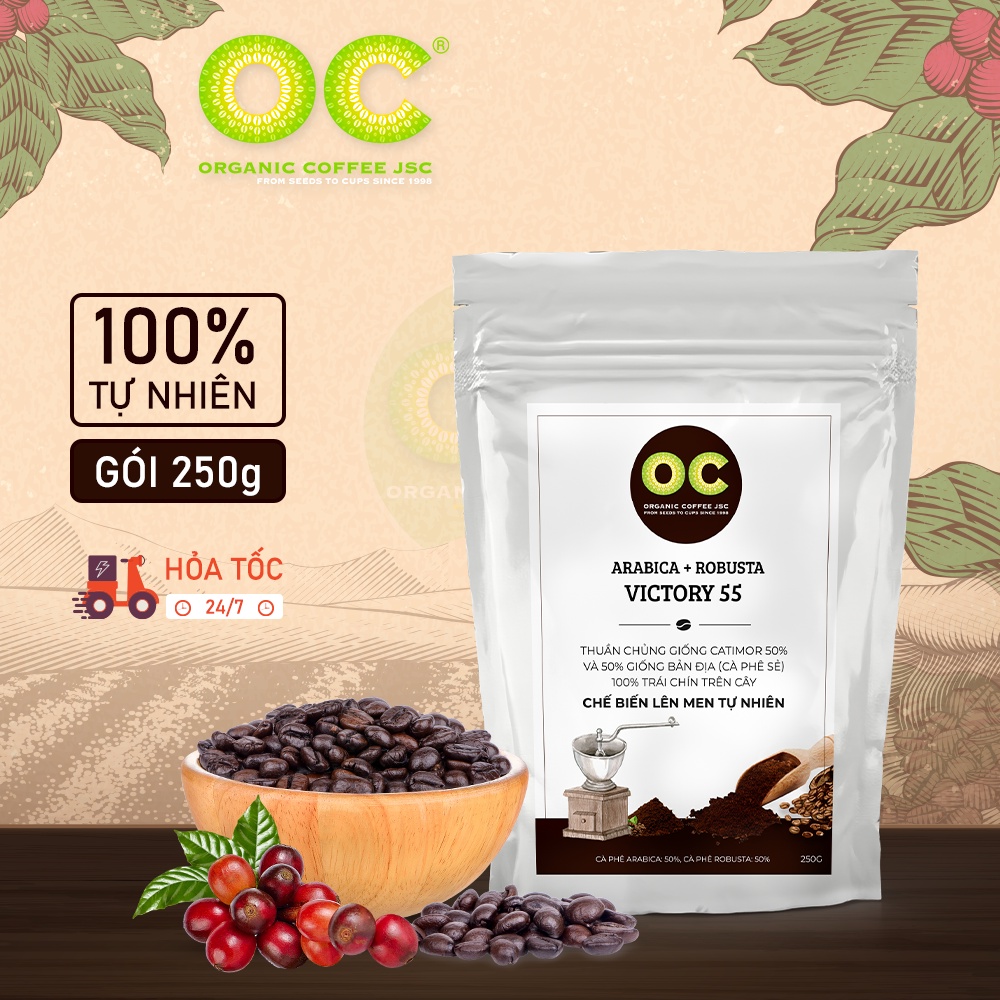 Cà phê rang mộc Robusta và Arabica hữu cơ VICTORIA 55,Cafe dùng pha phin và pha máy nguyên chất từ Organic Coffee JSC