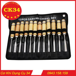 Đục Gỗ. Bộ đục gỗ 12 món, đồ nghề chạm khắc gỗ dành cho thợ mộc, thợ điêu khắc, Dụng Cụ Đục Cây Cảnh Bonsai Đồ Làm Vườn.