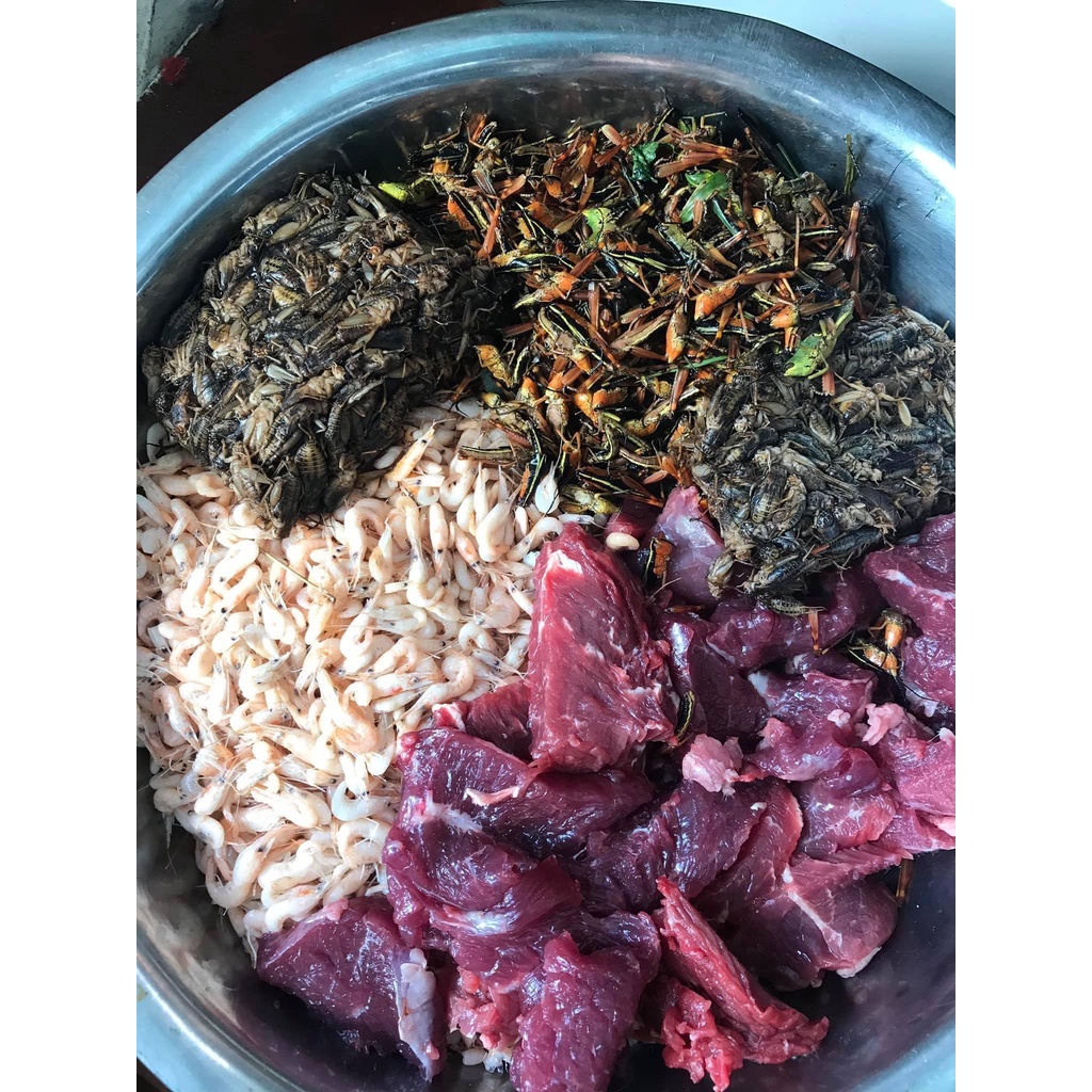 500g Cám chim khướu giàu dinh dưỡng, Vỗ béo & Kích lửa