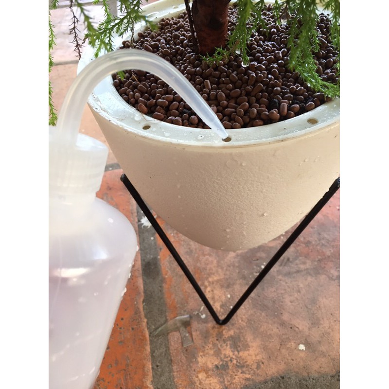 Bình tưới vòi cong, bình tưới sen đá 250/500ml