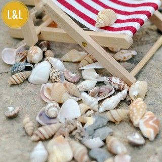  Tiểu cảnh - Bộ 50 vỏ ốc xinh xắn trang trí chậu cây, bể cá, làm mô hình biển cả