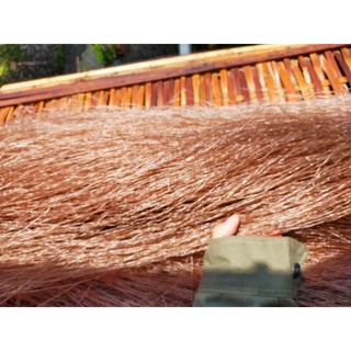 Miến dong đỗ đen 75k/1kg