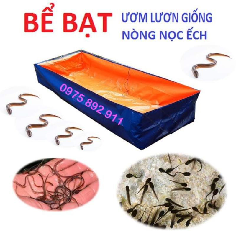 Bể bạt nuôi cá ốc ếch lươn - loại 4x2x0,5