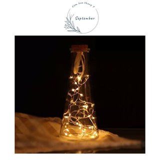 ♥️FREESHIP♥️Đèn Fairy Light Kèm Lọ Thỷ Tinh Decor Phòng Ngủ Vintage