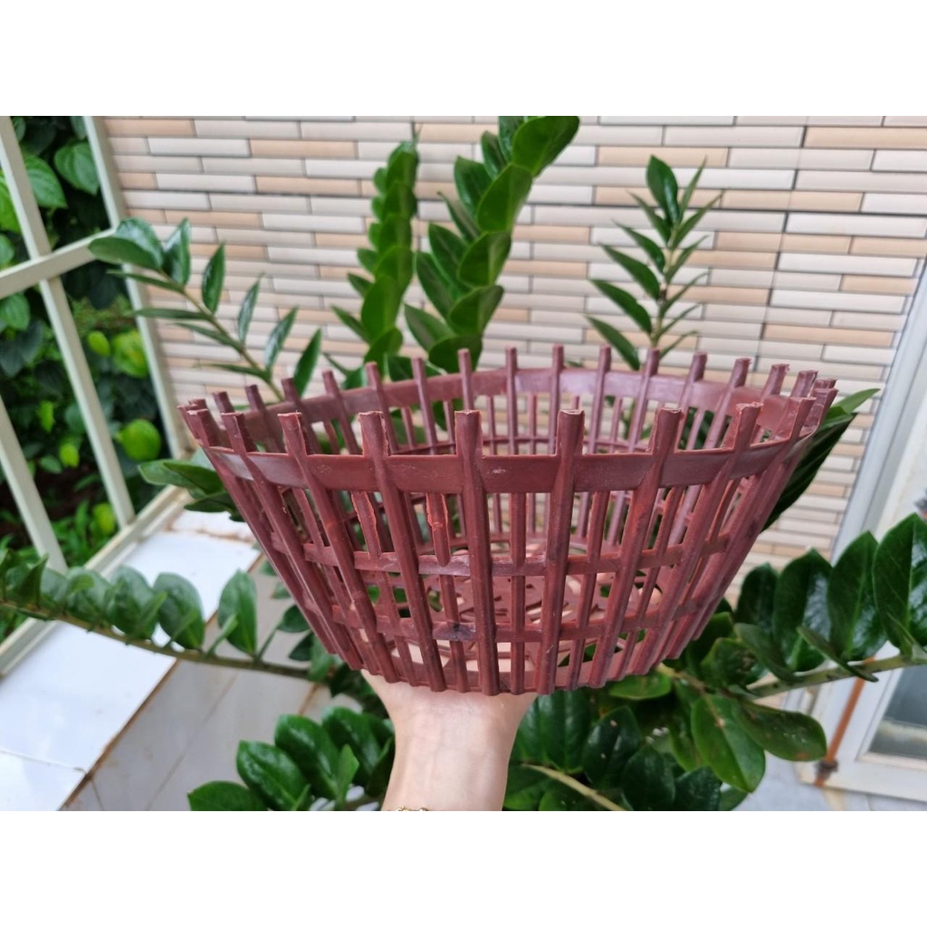 [Siêu Sale] sét 10 chậu nan phụ màu nâu f26 trồng lan hàng loại 1 dày chắc chắn