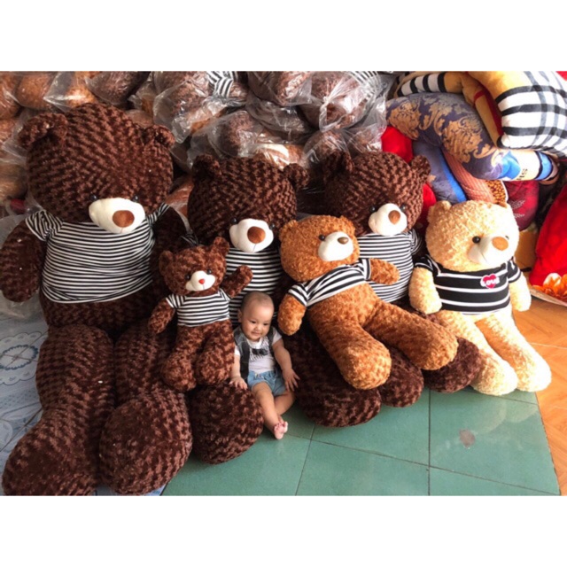 Gấu bông Teddy đủ size ( Ảnh chụp thật )