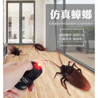 Gián Điều Khiển Từ Xa