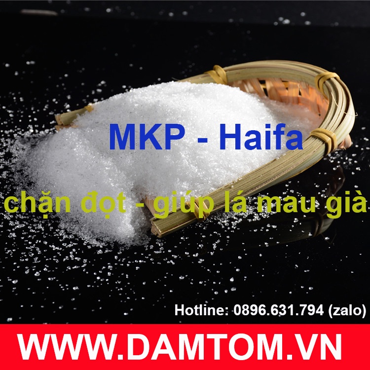 Gói 500 gam - phân bón MKP 0-52-34 Haifa - Israel KH2PO4 Kali dihidro photphat