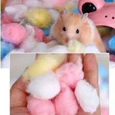 Bông gòn cotton lót ổ cho hamster , sóc