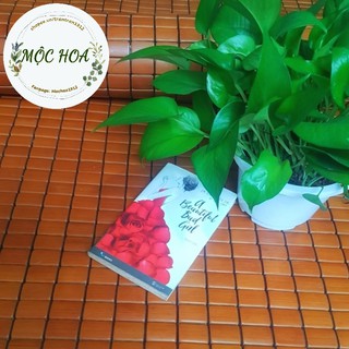 CHIẾU TRE HỮU CƠ ĐAN THỦ CÔNG Nhiều Kích Cỡ