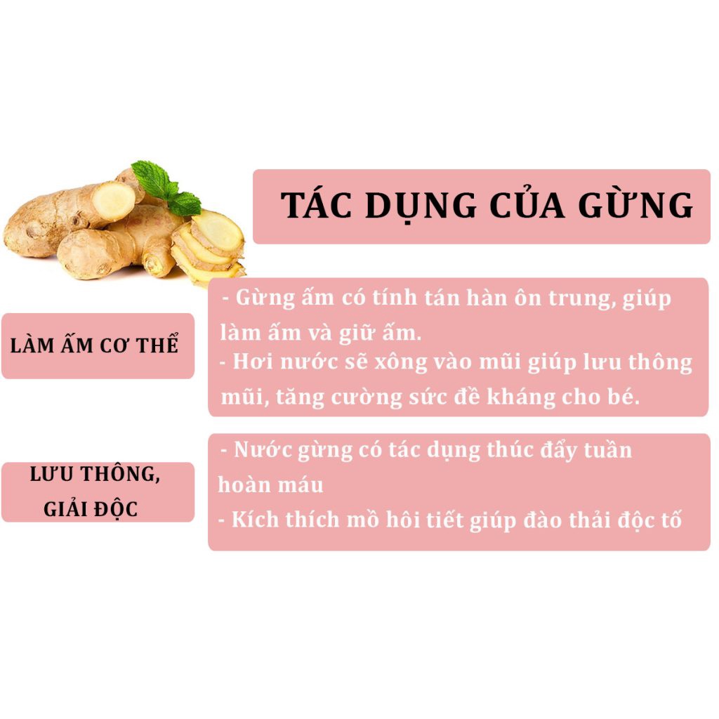 Bột Gừng ta chai 35g TG FOODS Nguyên Chất, Ướp Gia Vị Các Món Ăn