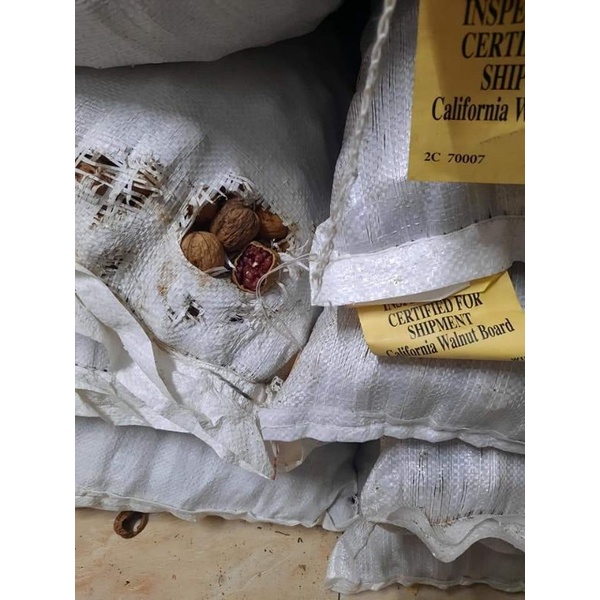 500g NHÂN ÓC CHÓ ĐỎ MỸ