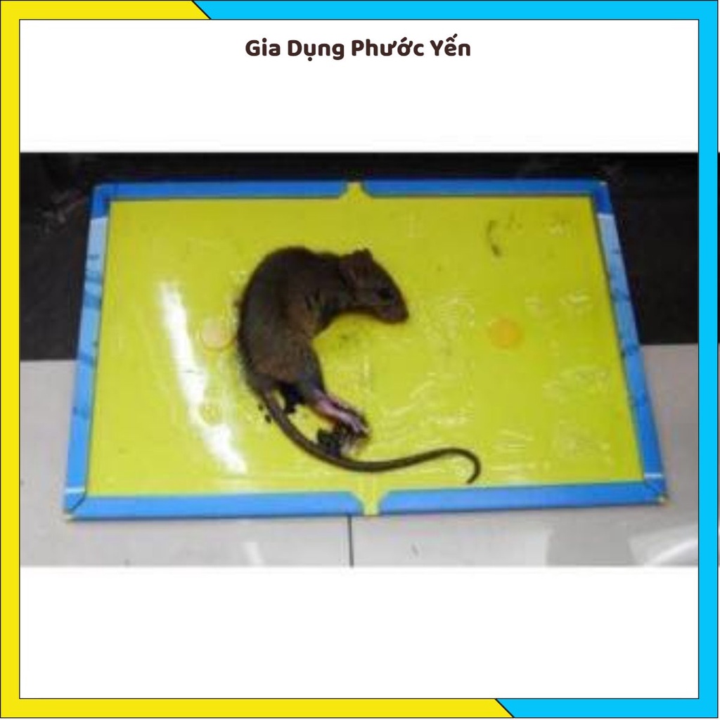 Keo bẫy chuột siêu dính